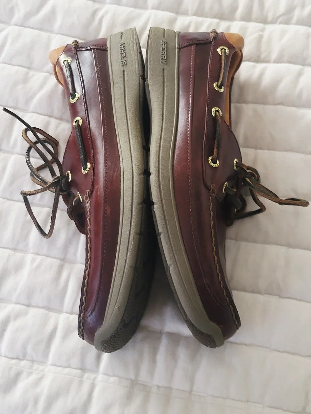 Sperry Men's Gold Cup™ ASV 2-Eye Boat Shoes In Amaretto, Men's Size 9.5